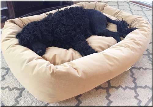 memory foam dog bed canada