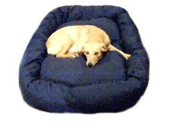 Mammoth Oblong Dog Beds