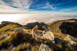 dogonmountain-1-300×200