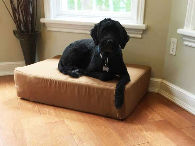 cheap dog beds canada