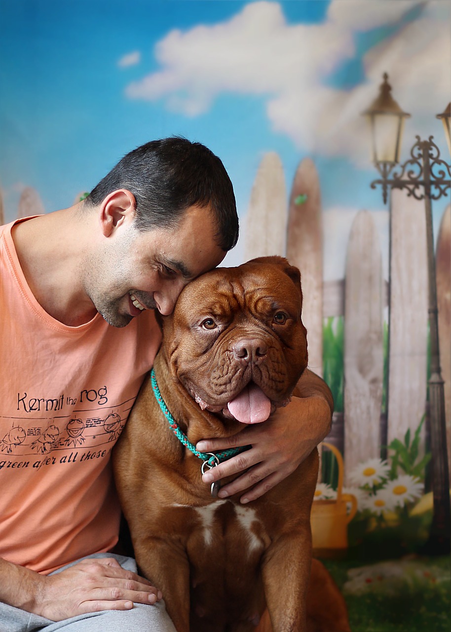 dog-743232_1280 dog with man