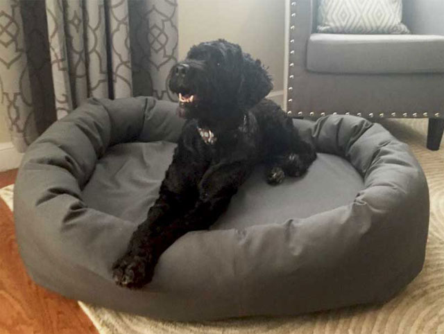 memory foam dog bed canada