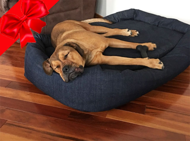 memory foam dog bed canada